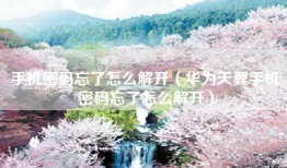 手机密码忘了怎么解开（华为天翼手机密码忘了怎么解开）