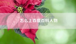怎么上百度百科人物