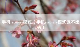 手机recovery模式(手机recovery模式退不出去)