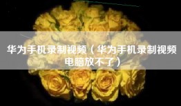 华为手机录制视频（华为手机录制视频电脑放不了）