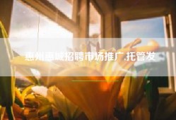 惠州惠城招聘市场推广,托管发