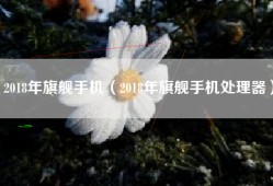 2018年旗舰手机（2018年旗舰手机处理器）