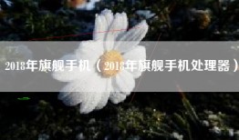 2018年旗舰手机（2018年旗舰手机处理器）