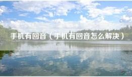 手机有回音（手机有回音怎么解决）