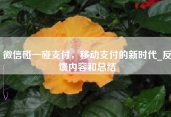 微信碰一碰支付，移动支付的新时代_反馈内容和总结