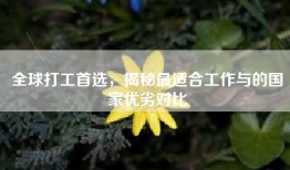 全球打工首选，揭秘最适合工作与的国家优劣对比
