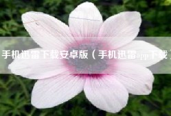 手机迅雷下载安卓版（手机迅雷app下载）