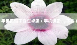 手机迅雷下载安卓版（手机迅雷app下载）