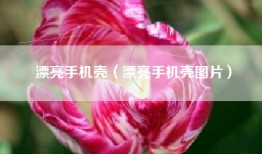 漂亮手机壳（漂亮手机壳图片）
