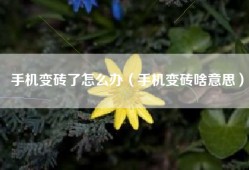 手机变砖了怎么办（手机变砖啥意思）