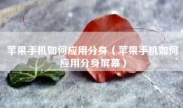 苹果手机如何应用分身（苹果手机如何应用分身屏幕）