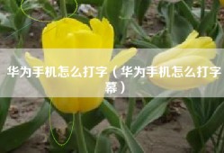 华为手机怎么打字（华为手机怎么打字幕）