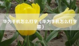 华为手机怎么打字（华为手机怎么打字幕）