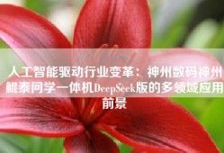 人工智能驱动行业变革：神州数码神州鲲泰问学一体机DeepSeek版的多领域应用前景