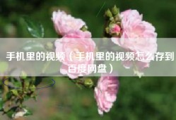 手机里的视频（手机里的视频怎么存到百度网盘）