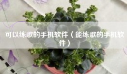 可以练歌的手机软件（能练歌的手机软件）