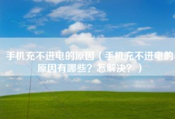 手机充不进电的原因（手机充不进电的原因有哪些？怎解决？）