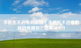 手机充不进电的原因（手机充不进电的原因有哪些？怎解决？）