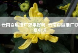 云南百度推广效果好吗_云南百度推广联系电话