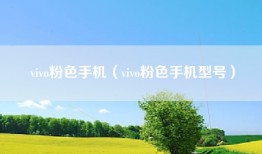 vivo粉色手机（vivo粉色手机型号）