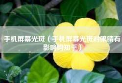 手机屏幕光斑（手机屏幕光斑对眼睛有影响吗知乎）