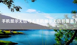 手机显示无信号（手机显示无信号覆盖）