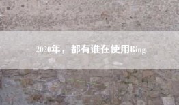 2020年，都有谁在使用Bing
