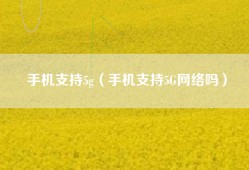 手机支持5g（手机支持5G网络吗）