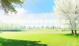 2025创业新项目新商机有哪些？盘点：10大穷人翻身低成本冷门好项目