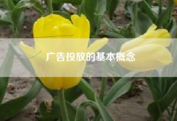 广告投放的基本概念