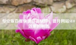 专业版百度快速排名软件：提升网站SEO效果的利器