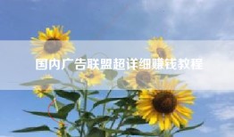 国内广告联盟超详细赚钱教程