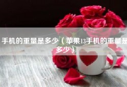 手机的重量是多少（苹果13手机的重量是多少）