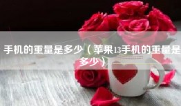 手机的重量是多少（苹果13手机的重量是多少）