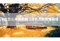 手机怎么屏幕截图（手机怎样屏幕截图）