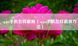 oppo手机怎样截屏（oppo手机怎样截屏方法）