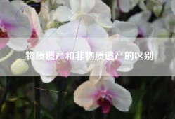 物质遗产和非物质遗产的区别