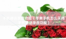 手机通话录音功能(苹果手机怎么关闭手机通话录音功能)