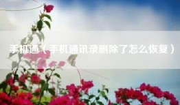 手机通（手机通讯录删除了怎么恢复）