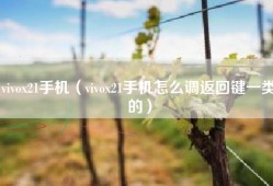 vivox21手机（vivox21手机怎么调返回键一类的）