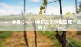 vivox21手机（vivox21手机怎么调返回键一类的）