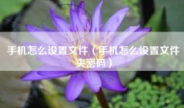手机怎么设置文件（手机怎么设置文件夹密码）