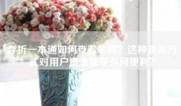 存折一本通如何查看余额？这种查询方式对用户资金管理有何便利？