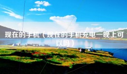 现在的手机（现在的手机充电一晚上可以吗）