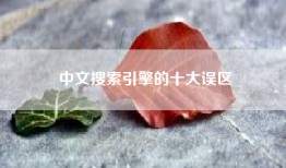 中文搜索引擎的十大误区