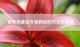 宜春市建设外贸网站的方法和步骤