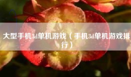 大型手机3d单机游戏（手机3d单机游戏排行）