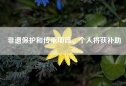 非遗保护和传承项目、个人将获补助