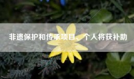 非遗保护和传承项目、个人将获补助