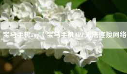 宝马手机app（宝马手机APP无法连接网络）
